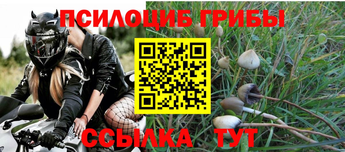 Псилоцибиновые грибы Cubensis Нефтекамск